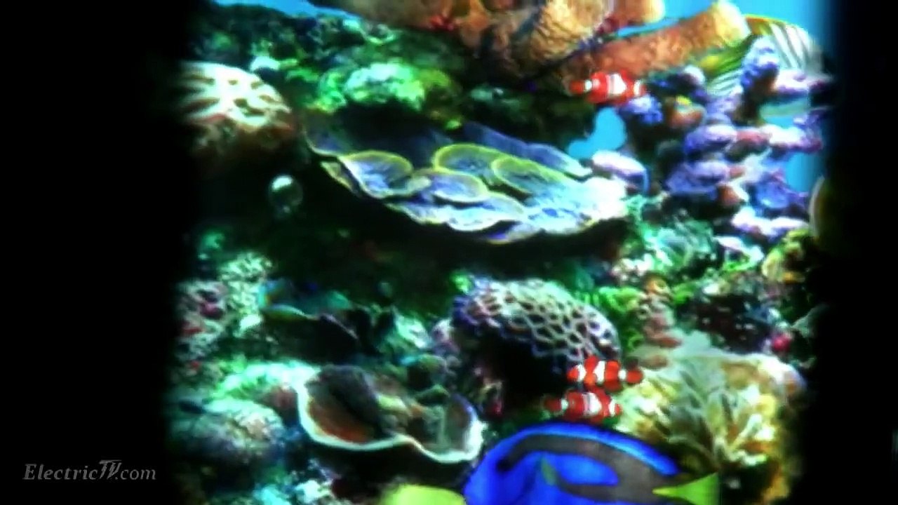 NEW Glasses-free 3d holographic projection display