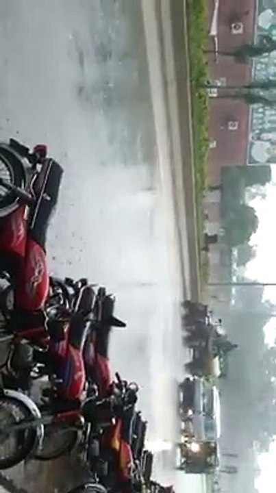 watering plants in heavy rain - wow Punjab hakoomat zindabad