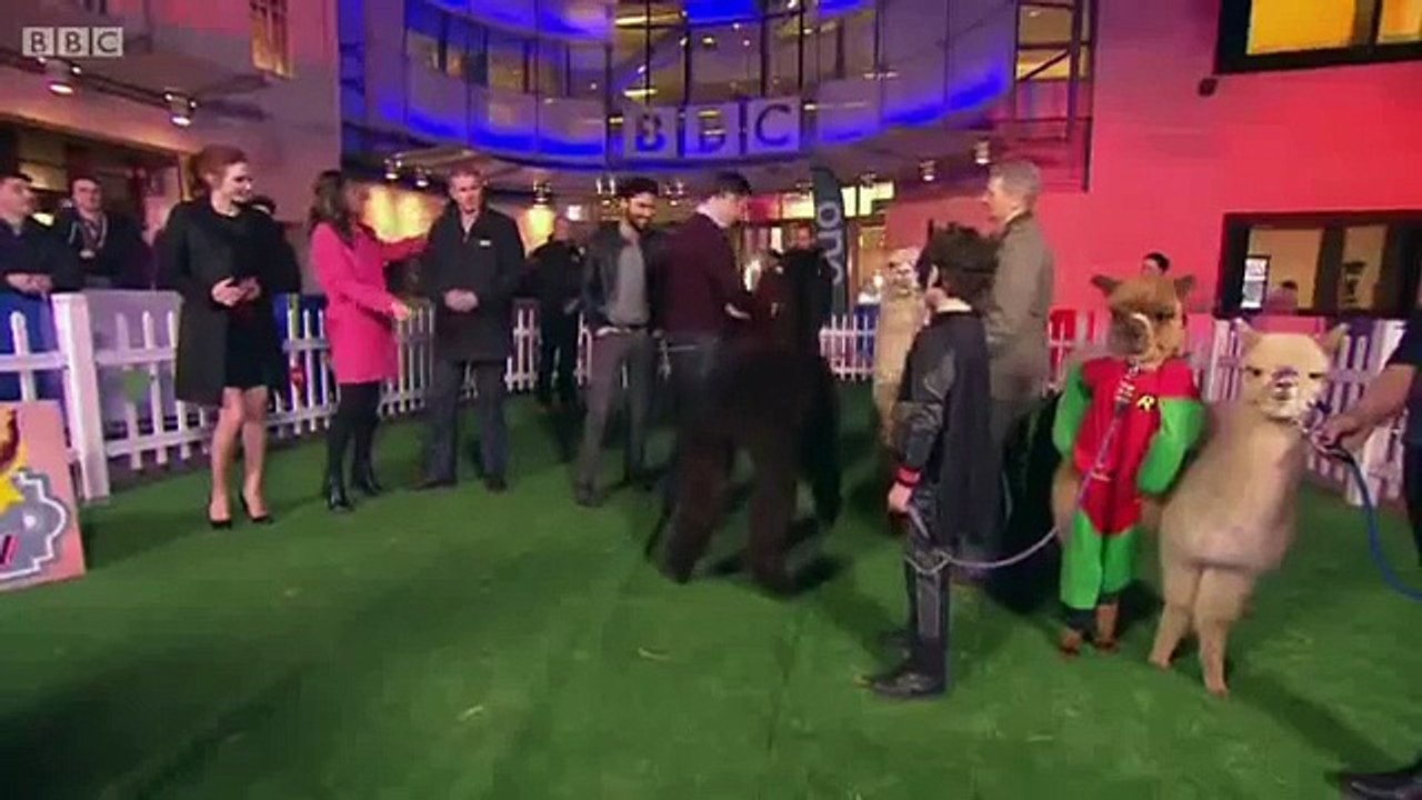 Aidan Turner and Eleanor Tomlinson judging alpacas - The One Show