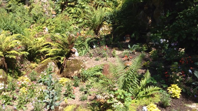 Ponti au jardin des plantes