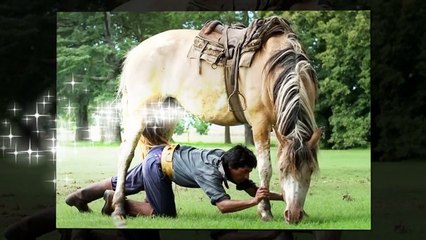 Horse Yoga - Meet The world Best Horse Whisperer