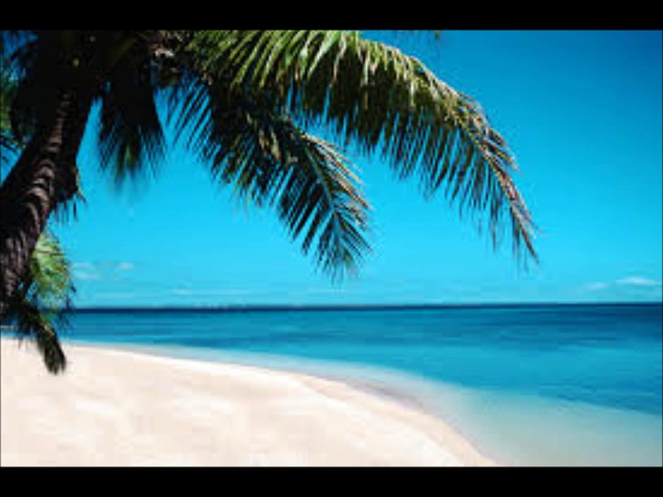 Bavaro Punta Cana ( république Dominicaine)