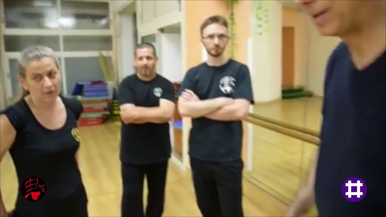 Shorinryu/Wingchun Training