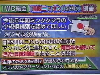 IWC総会 反捕鯨国の偽善