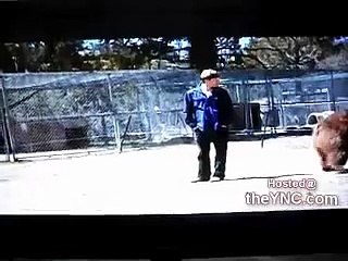 Ele Queria um Abraço de Urso, Ganhou uma Bela Mordida!