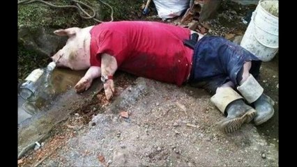 Cele mai tari imagini din ROMANIA :))))