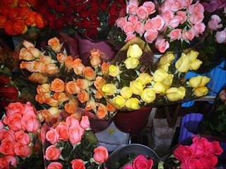 VIDEOCLIPE  PREGADORES  DE  ROSAS.wmv  *Cantor Marcos Antônio*