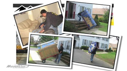 Olympus Moving and Storage