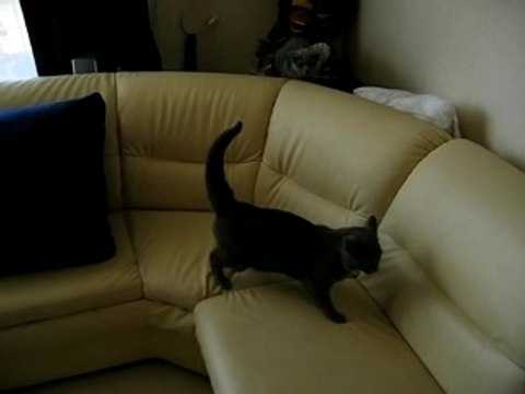 apollon&voudia première rencontre1