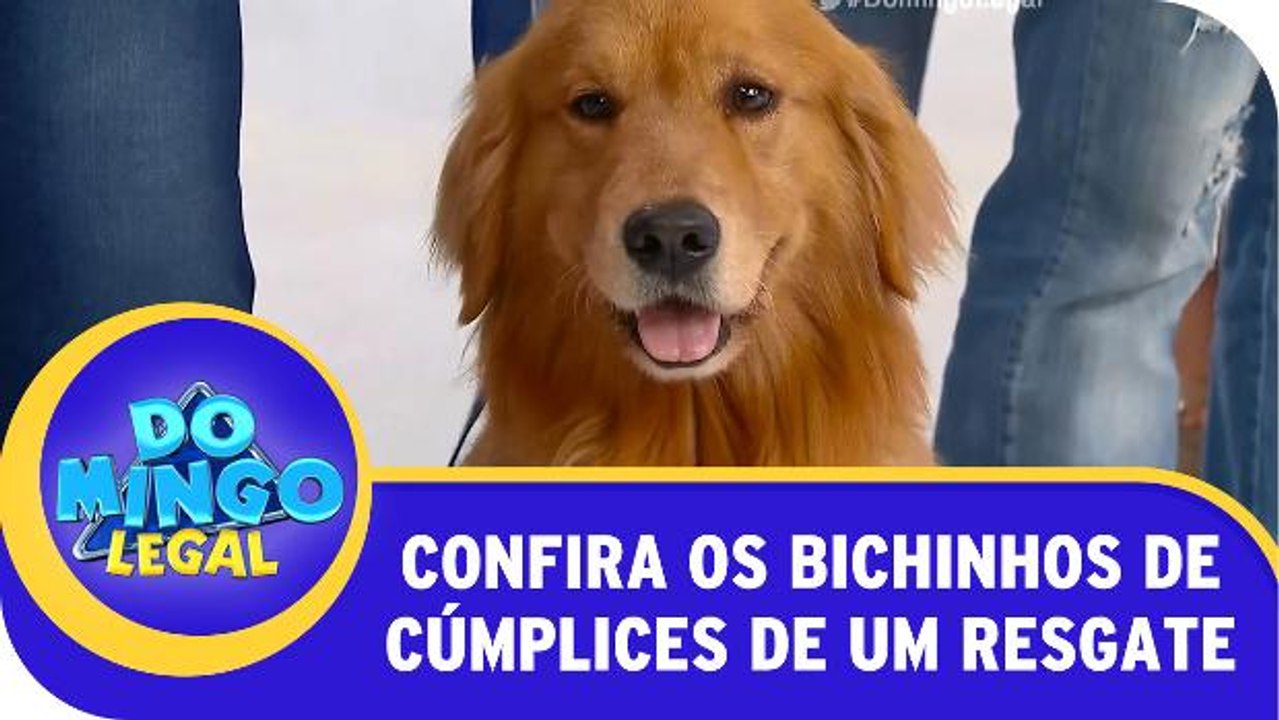 Conheça os bichinhos de Cúmplices De Um Resgate
