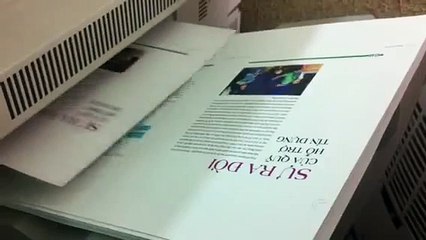 Dịch Vụ In Ấn Chuyên Nghiệp Tại Đại Dương 🌟