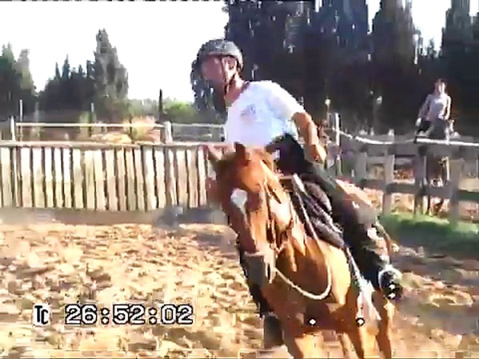 monta sarda da lavoro doma sarda 3478320654