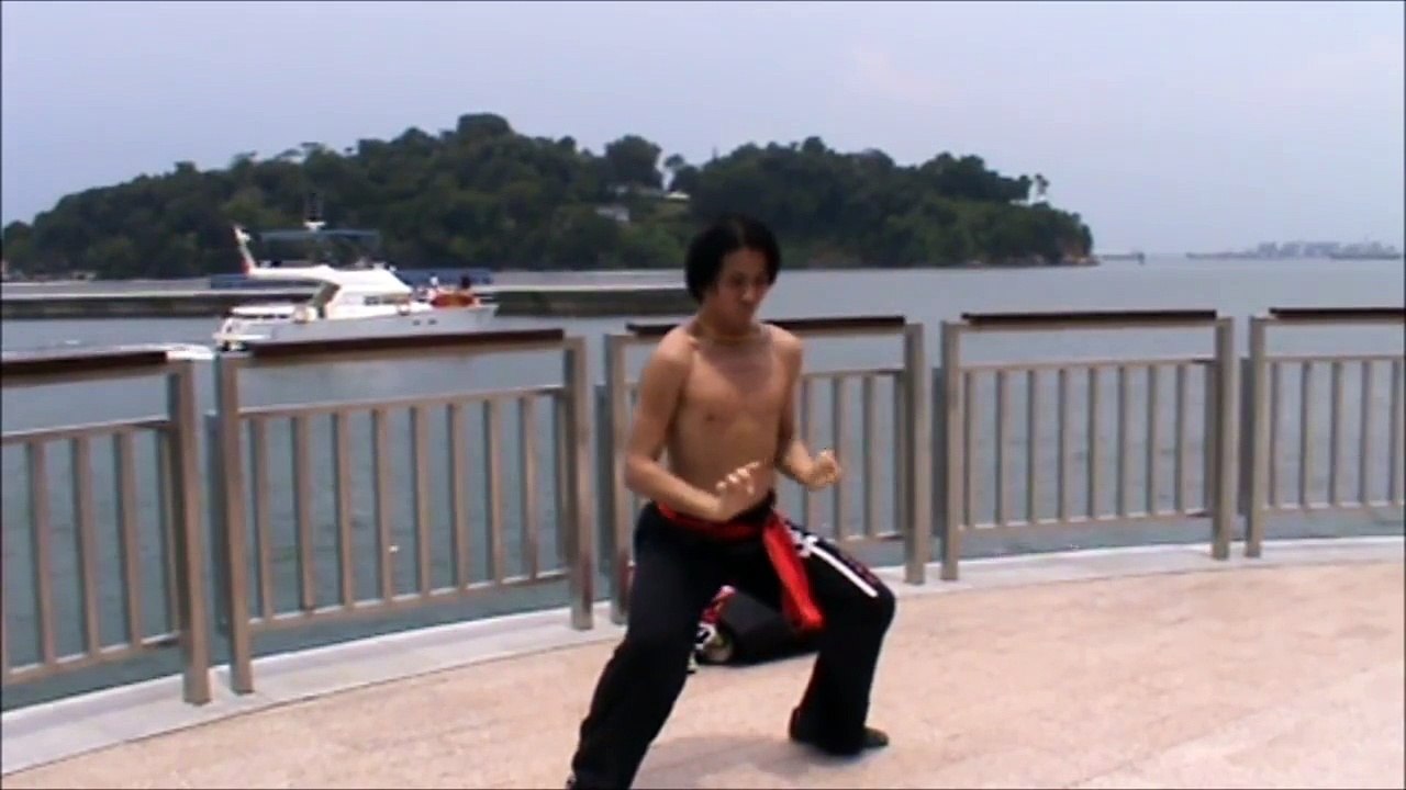 洪家铁线拳 Hung Gar Iron Wire Fist @ Labrador Natural Reserve