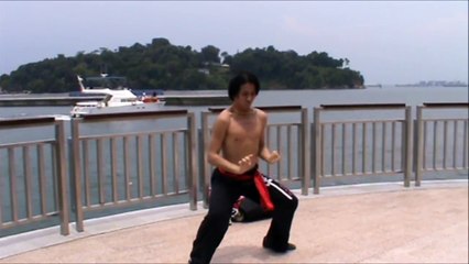 洪家铁线拳 Hung Gar Iron Wire Fist @ Labrador Natural Reserve
