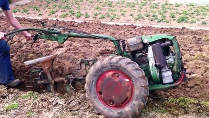 Pfügen schwere Einachser Agria 2800 Motor Berning Di7 + Holder E10 Sachs Diesel Pflug