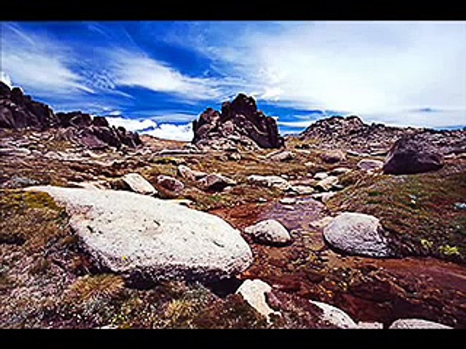 The Man From Snowy River