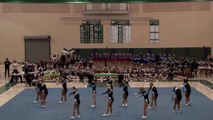 Dracut High School Cheerleading 2013 Fall State CHAMPIONS