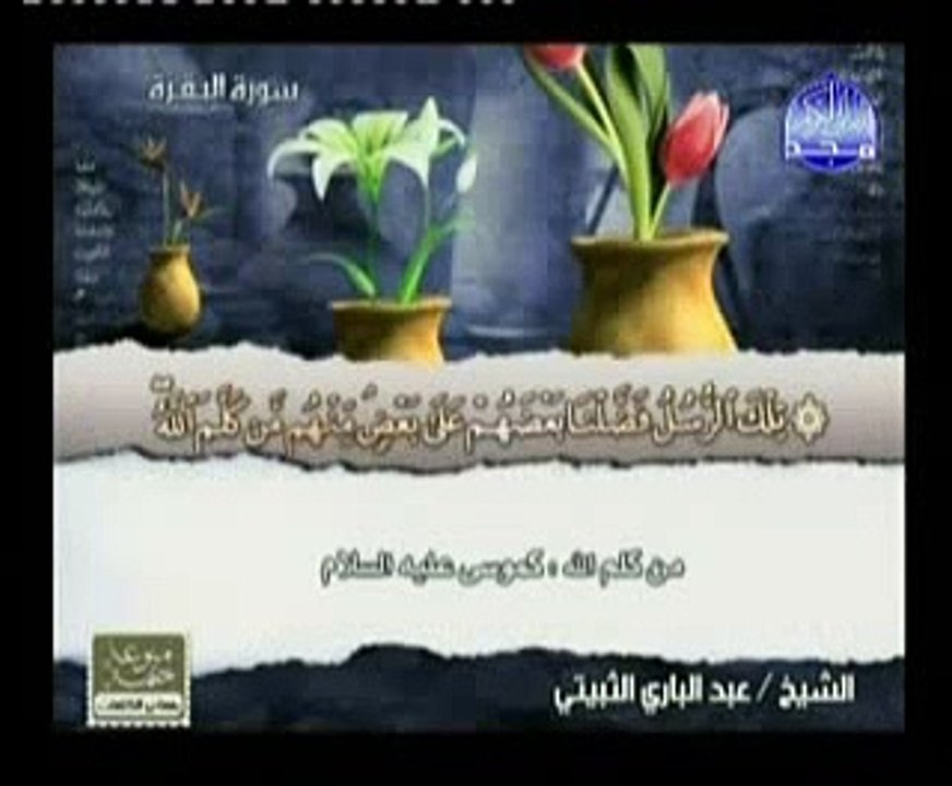 Abdul Bari Al Thubaity