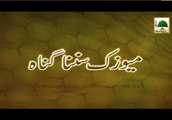 Music Sunna Gunah - Short Bayan - Maulana Ilyas Qadri