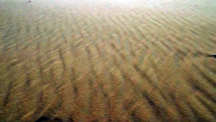 White Desert @ Egypt - Planet Earth (2006)