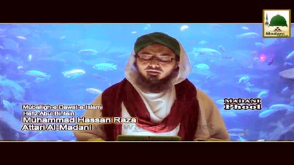 Madani Phool - Machli Ka Istemal aur Quwwat e Hafiza - Haji Hassan Raza Al Madani