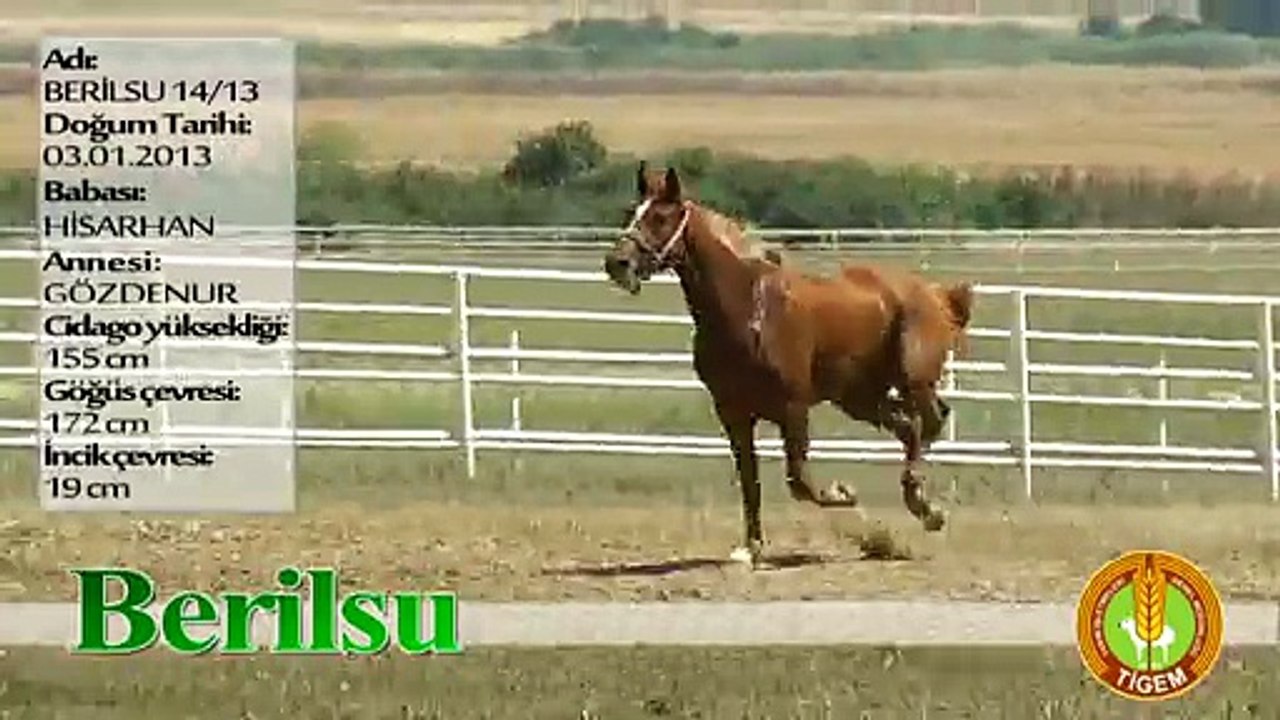 BERİLSU