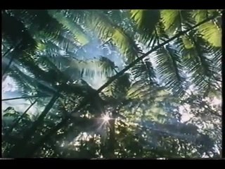 Planeta Vivo - Hawaí: As Ilhas do Paraíso