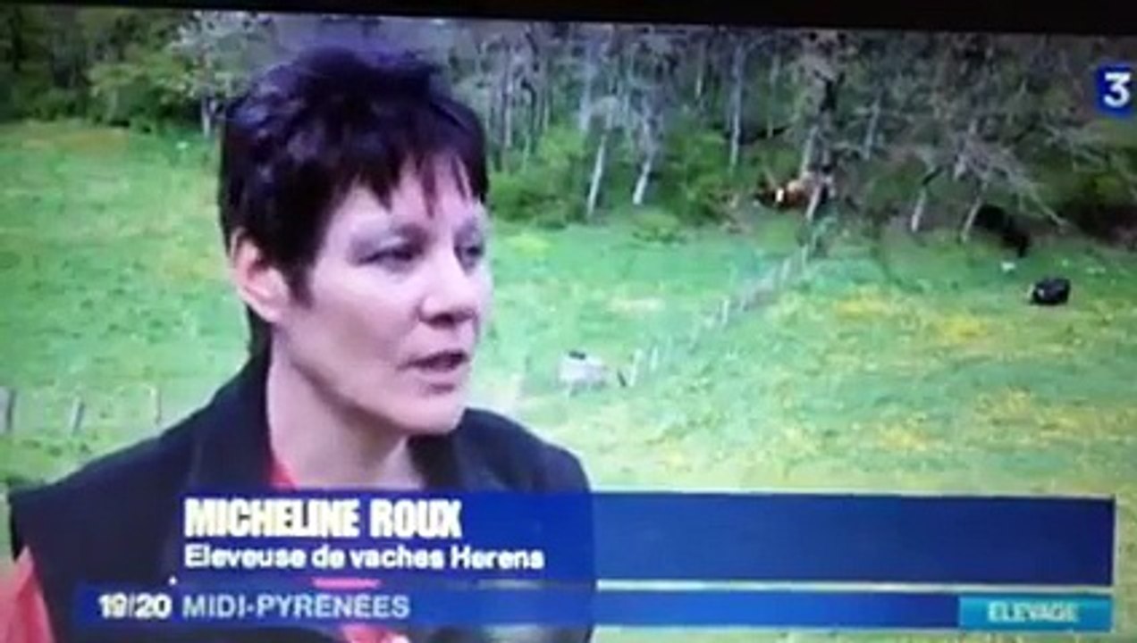 Des Hérens en Aveyron