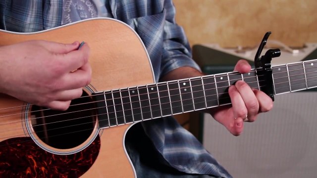 Taylor Swift - I knew You Were Trouble - Easy Acoustic Songs on Guitar - How to Play
