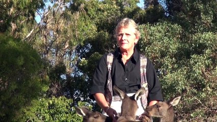 Deb  Spoons  Perry Does The Black Keys