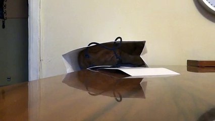Fail Kitten inside a bag