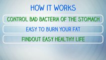 Flat Belly Forever Review __ Is it Scam or Really Works __ Must To See It!