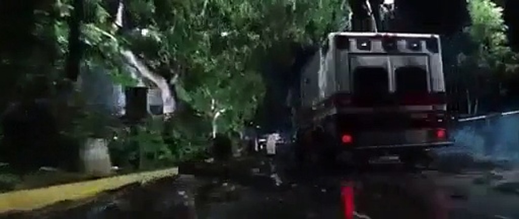 Horrible Frog Rain Hits New York City - Video Dailymotion