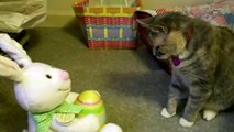 Sadie Meets the Easter Bunny and His Backup Singer Chicks