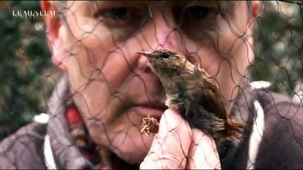 Le bagueur d'oiseaux du Jardin des Plantes