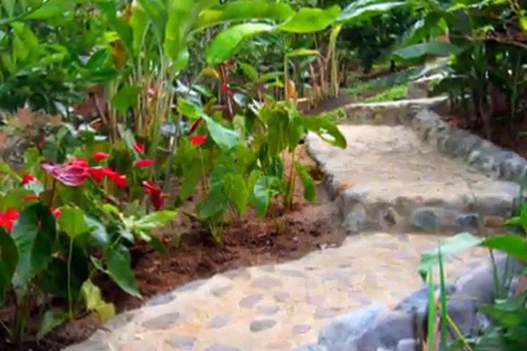 El camino de la vida