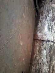 Funny girl slipped in rain