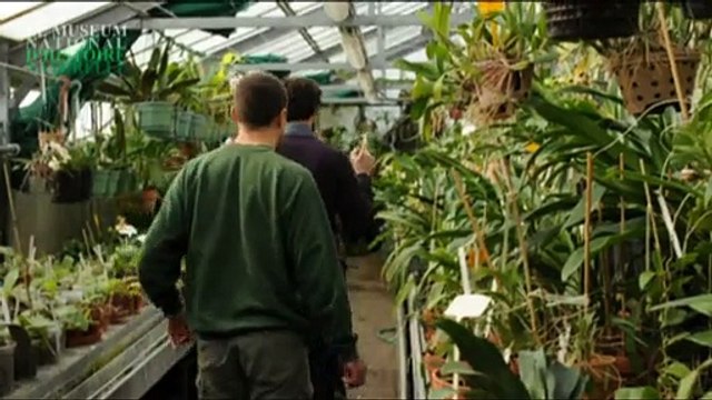 Le botaniste du Jardin des Plantes