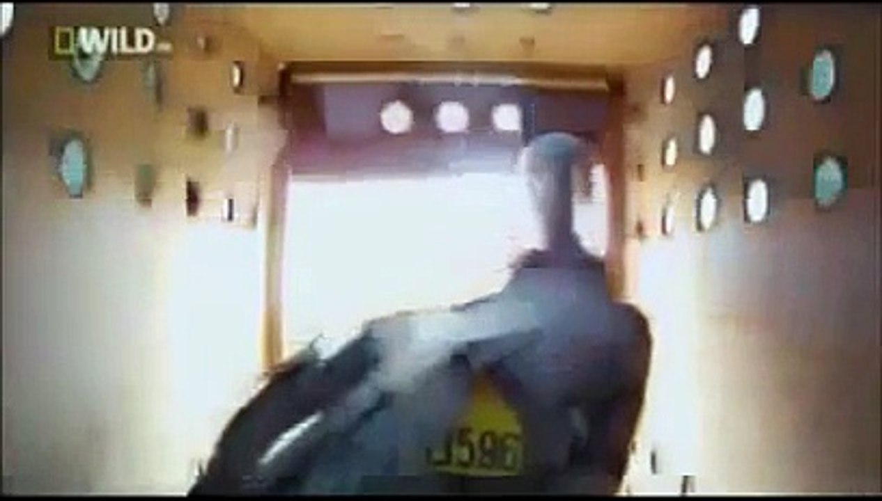 Nature Discovery Documentary Amazing Life Nature Documentaries HD 2014 - YT