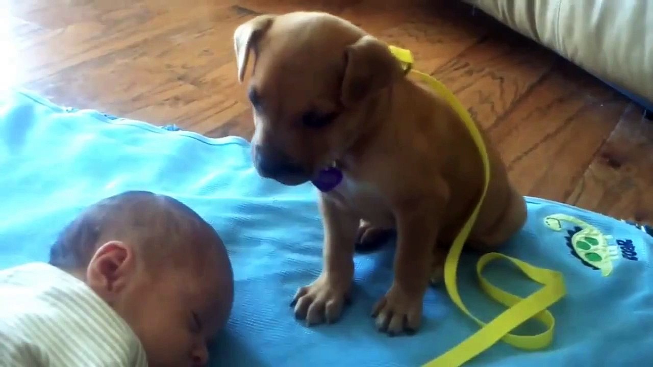 Baby and dog so cute