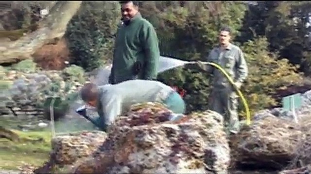 Mars : les premiers soins du printemps (L'éphéméride des jardiniers 3/12)