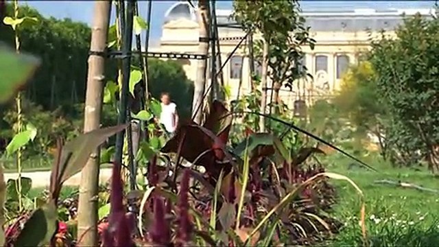 Mai : la plantation des massifs (L'éphéméride des jardiniers 5/12)