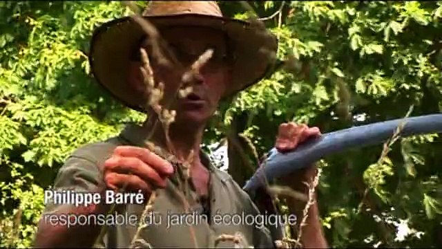 Juin : le fauchage de la prairie (L'éphéméride des jardiniers 6/12)