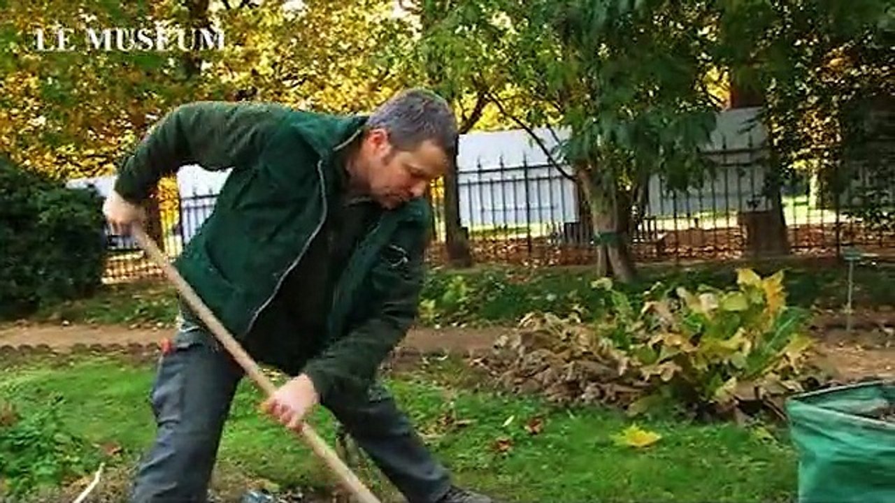 Octobre : les semis des annuelles (L'éphéméride des jardiniers 10/12)