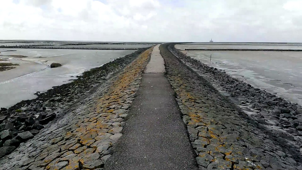 Videomaterial aus Friedrichskoog 009