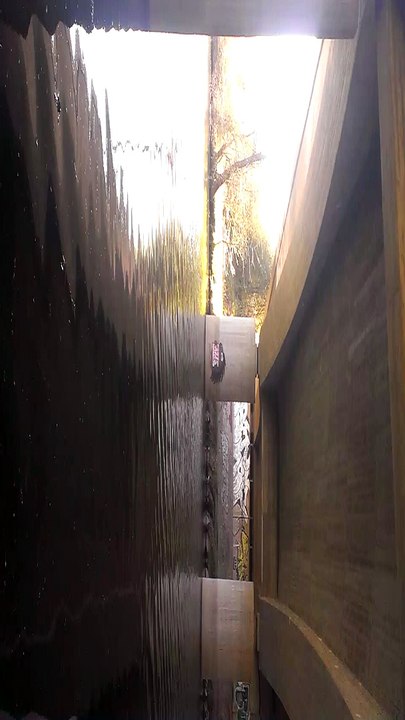 Videomaterial aus Friedrichskoog 018