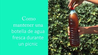 Como mantener una botella de agua fresca durante un picnic