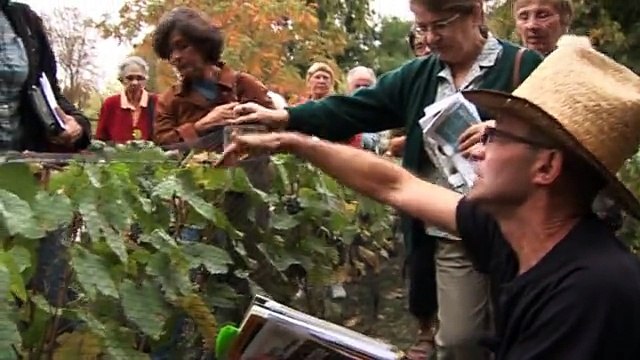 La vigne (Les propos de jardiniers 9/12)