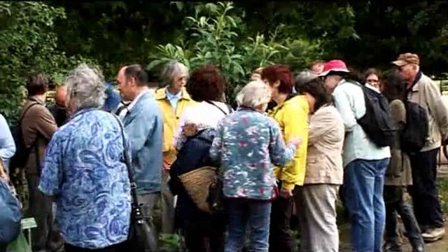 Plantes adventices : propriétés et utilités (Les propos de jardiniers 11/12)