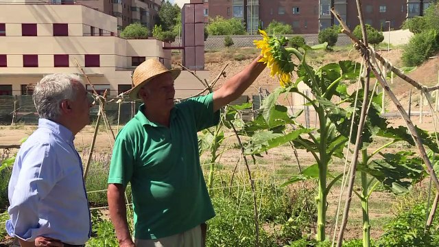 Avec la crise, les jardins urbains fleurissent en Espagne